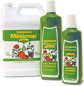 Maxicrop Liquid Seaweed,  33.8oz