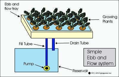 Ebb & Flow system
