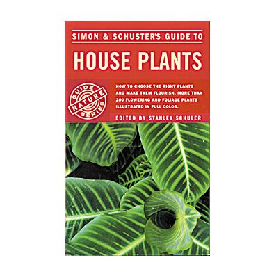 House Plants