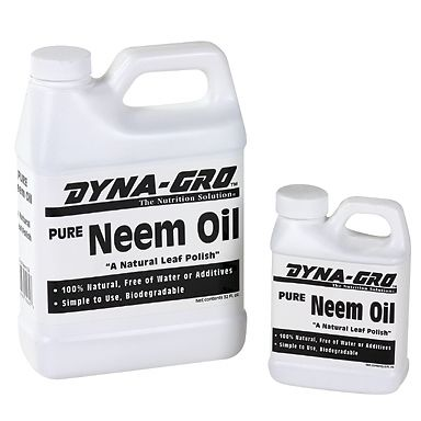 Neem Oil 8oz