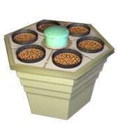 Rainforest Model  66 System
