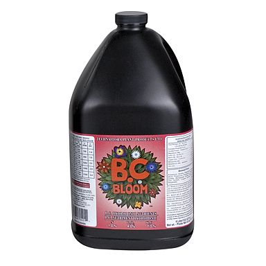 B.C. Bloom Gallon