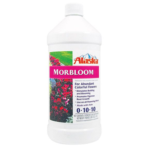 Alaska MorBloom   qt