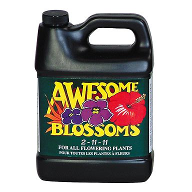 Awesome Blossoms   Lt  