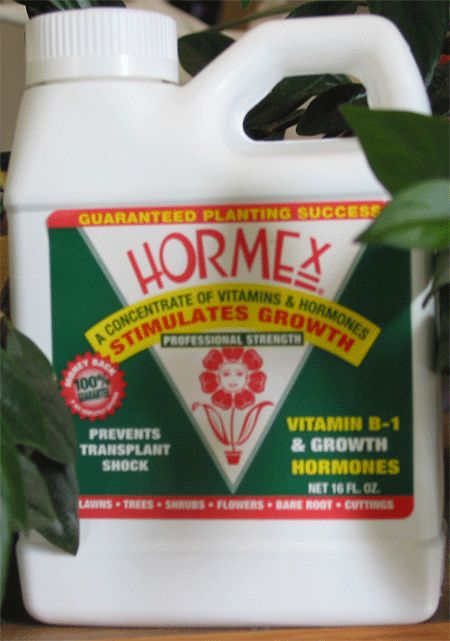 Hormex Liquid, 16oz