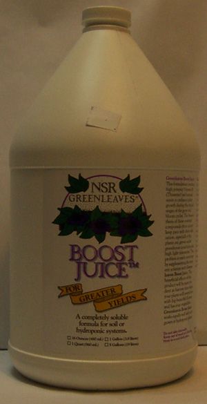 NSR Greenleaves Boost Juice, 128oz