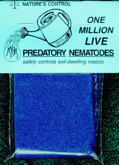 Predator Nematodes 1-Million ct.
