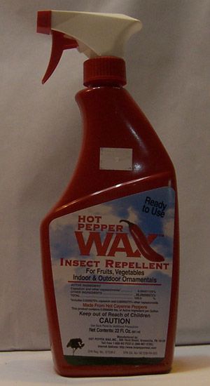 Hot Pepper Wax RTU