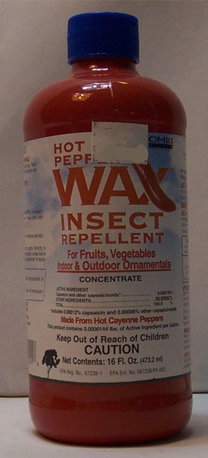 Hot Pepper Wax Concentrate, 