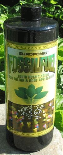 Fossil Fuel,  32oz